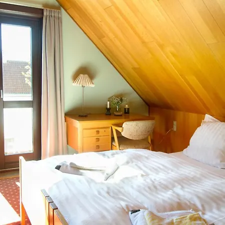 Hotel Inger 2*
